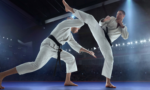 Martial Arts